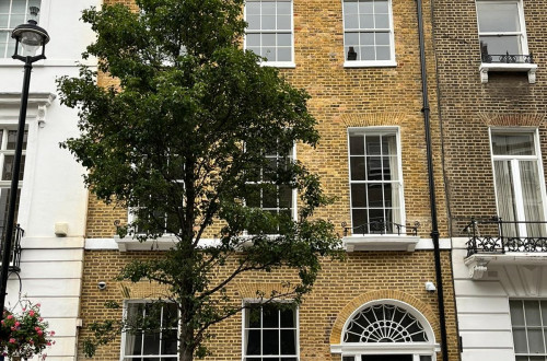 12 Upper Wimpole Street